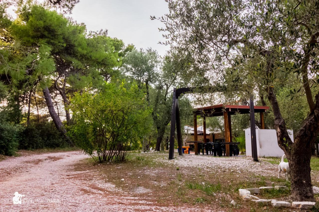 Villa Anna Residence Rodi Rodi Garganico Buitenkant foto