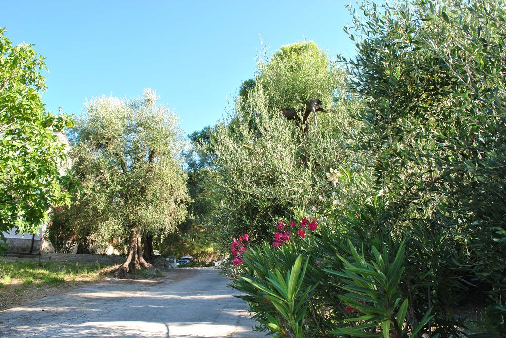 Villa Anna Residence Rodi Rodi Garganico Buitenkant foto