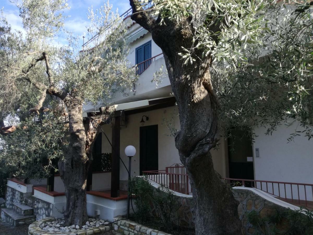 Villa Anna Residence Rodi Rodi Garganico Buitenkant foto